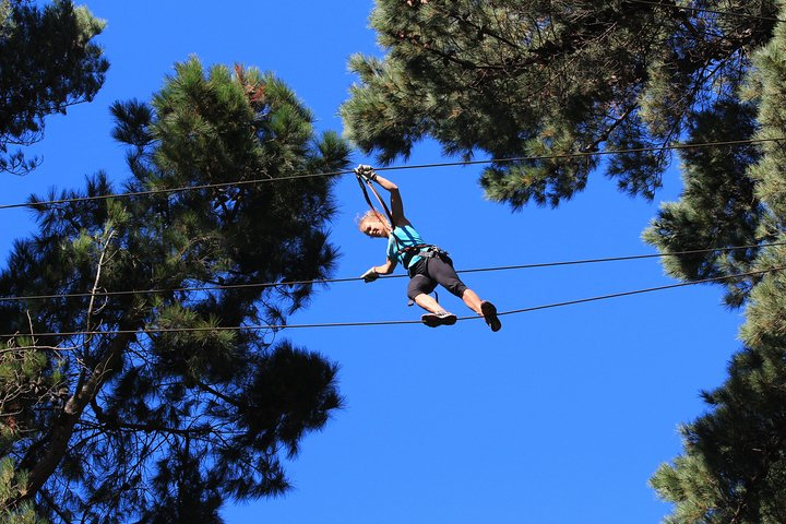 Adrenalin Forest Auckland - Photo 1 of 8